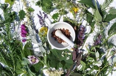 Folk remedies to increase potency