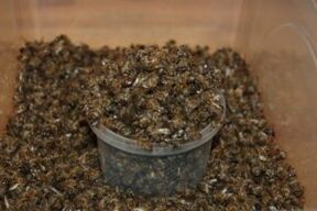 Bee dug to increase potency