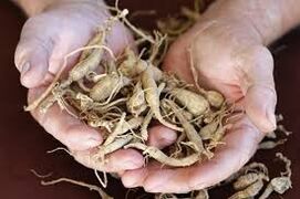 Increasing the potency in men with natural remedies
