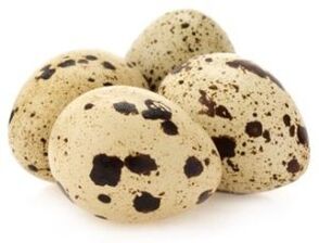 Objects of quail to increase potency